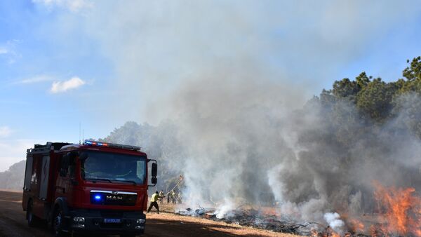 Tăng cường các biện pháp cấp bách để phòng cháy, chữa cháy rừng