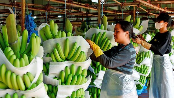 Chính sách giảm thuế là điểm tựa cho doanh nghiệp phục hồi tăng trưởng