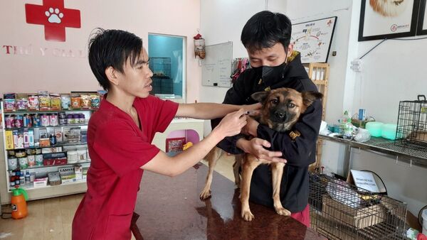 Gia Lai: 9/17 địa phương bố trí kinh phí phòng-chống dịch bệnh động vật năm 2024