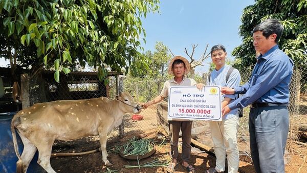 Chung tay xoa dịu nỗi đau da cam