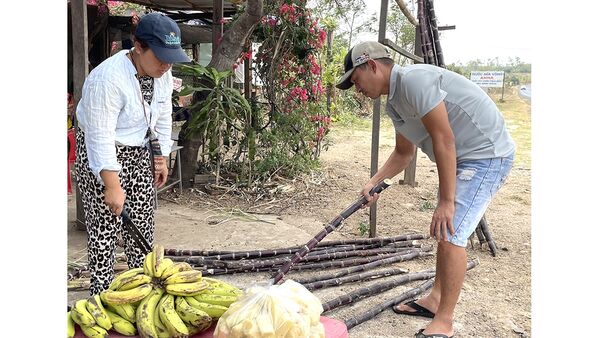 “Xóm mía” bên quốc lộ 25