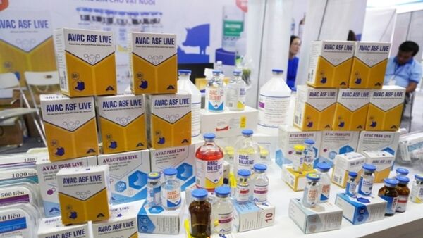 AVAC tặng 10.000 liều vacxin dịch tả lợn Châu Phi cho Rumani