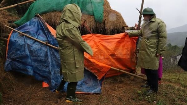 Bảo vệ đàn vật nuôi trước rét đậm, rét hại