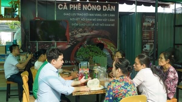 Cà phê nông dân, râm ran câu chuyện mai vàng ngày Tết