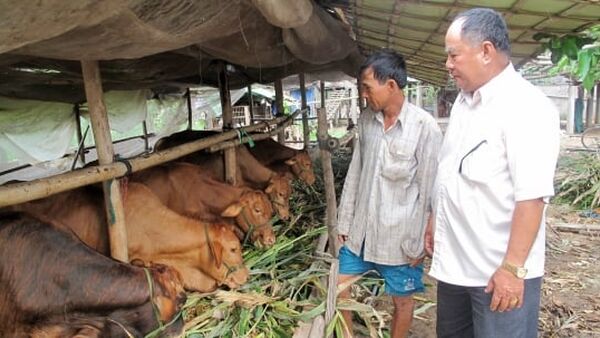 Chợ Mới phát triển chăn nuôi trang trại an toàn sinh học