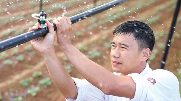 Có nên bỏ thu nhập hơn 20 triệu để về quê tái lập trang trại?