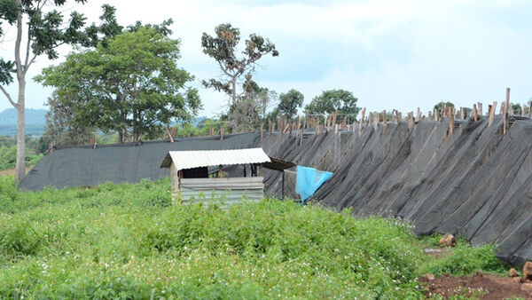 Cách chức chủ tịch xã Al Bá sang 'lên giường' với Chủ tịch Hội phụ nữ