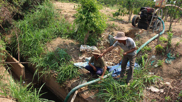 Chư Sê khô khát, thiếu nước