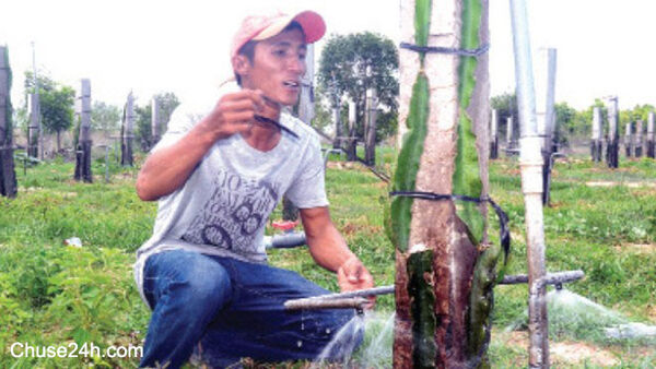 Từ người bốc xếp thành nhà sáng chế