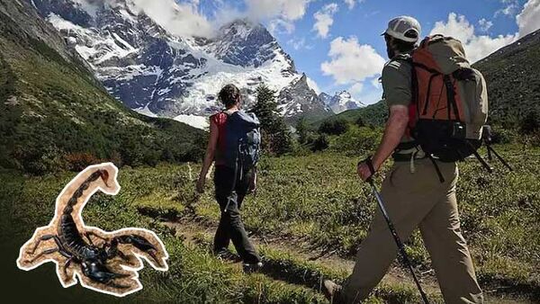 Mẹo phòng tránh côn trùng khi du lịch