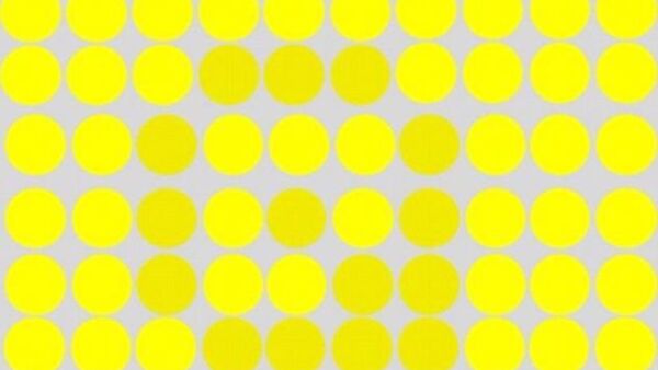 Thử thách tìm chữ cái bí ẩn trong ảnh sắc màu