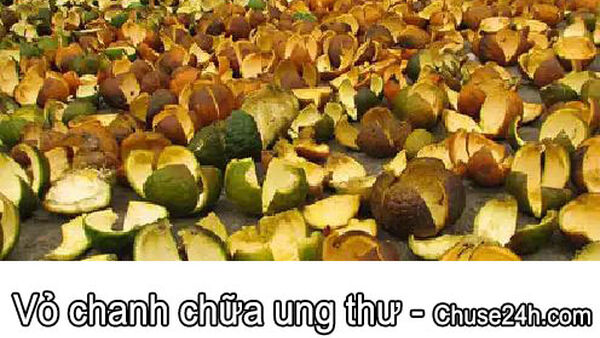 Có phải vỏ chanh chữa ung thư?