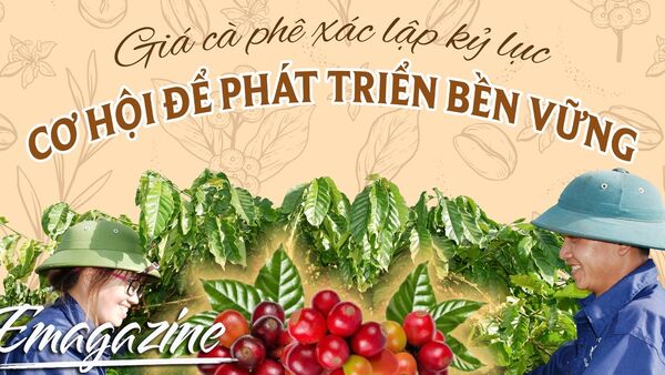 E-magazineGiá cà phê xác lập kỷ lục: Cơ hội để phát triển bền vững