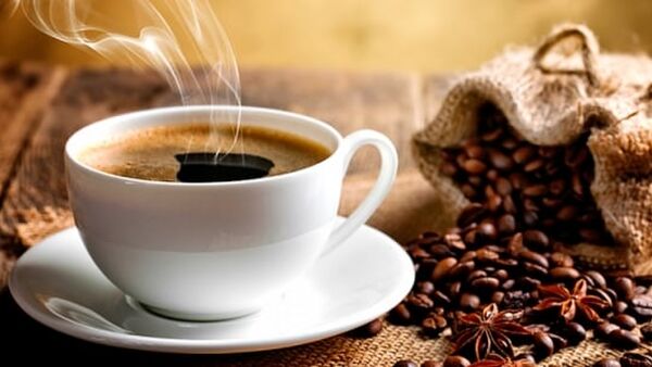 Giá cà phê hôm nay 12/3/2024: Neo trên ngưỡng 91.000 đ/kg