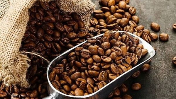 Giá cà phê hôm nay 19/3/2024: Thị trường biến động trái chiều