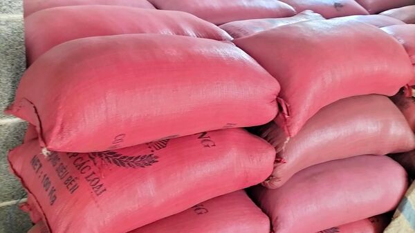 Giá cà phê ngày 05/03/2024: trong nước vượt mốc 87.000 đ/kg