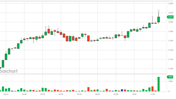 Giá cà phê ngày 10/02/2024: tăng tưng bừng mừng Tết Cổ truyền ở Việt Nam
