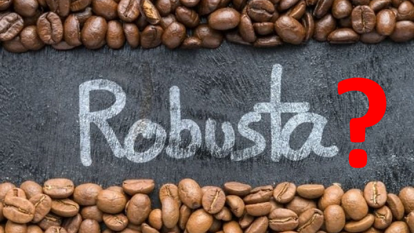 Giá cà phê ngày 19/4/2024: Thị trường lao dốc khi có áp lực thanh lý vị thế mua