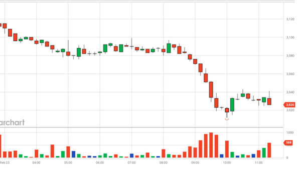 Giá cà phê ngày 24/02/2024: báo cáo tồn kho ICE tăng mạnh gây áp lực giảm giá