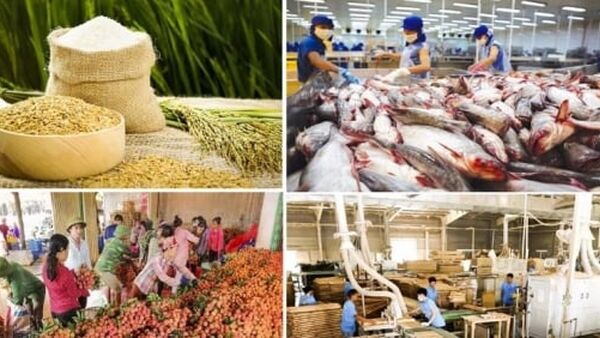 Nông sản giúp Việt Nam xuất siêu cao nhất 10 năm