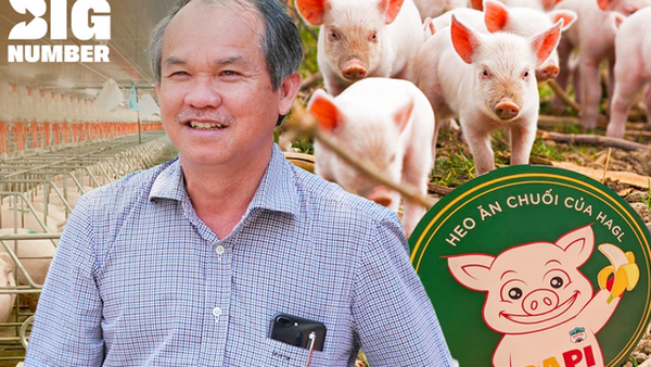 Tái cấu trúc tập đoàn, HAGL thoái vốn khỏi Bapi