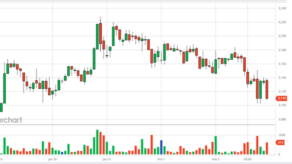 Tổng hợp thị trường cà phê tuần 05 (29/01/2024 – 03/02/2024)