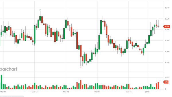 Tổng hợp thị trường cà phê tuần 11 (11/03/2024 – 16/03/2024)
