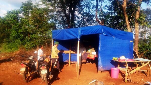 Cà phê tặc hoành hành