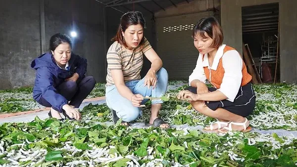 Chị Liên '2 giỏi'