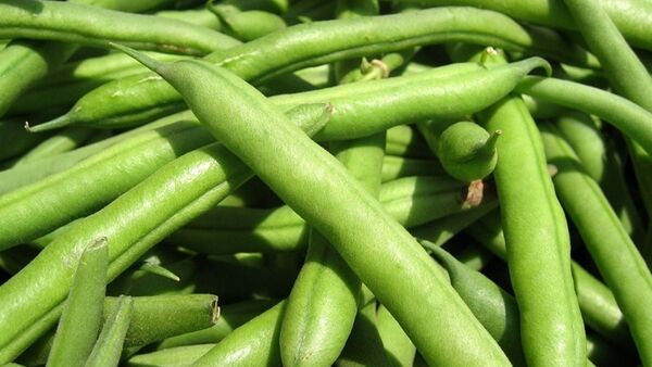 6 loại rau không nên ăn nhiều vào mùa hè vì rất hại