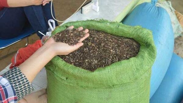 Những tỷ phú vàng đen trên đất Tây Nguyên