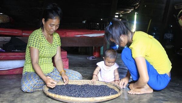 Điều tra vụ lừa đảo chiếm quyền sử dụng đất của dân ở Gia Lai