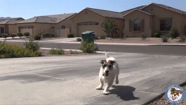 Ngắm concept iPhone 6C đủ sắc màu đua đòi theo Apple Watch