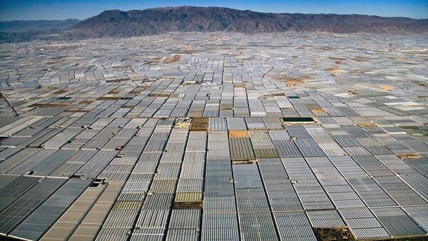 Ở Tây Ban Nha, có một khu vực nhà kính trồng cây san sát rộng 200 km vuông, nhìn thấy được từ quỹ đạo, cung cấp rau quả cho toàn bộ Châu Âu