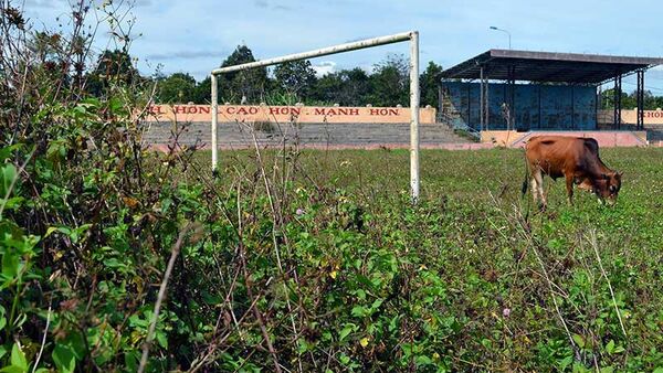 Sân vận động Chư Sê tiền tỉ dành để… thả bò